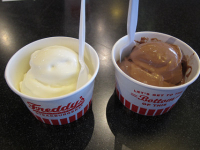 Vanilla and chocolate custard cups