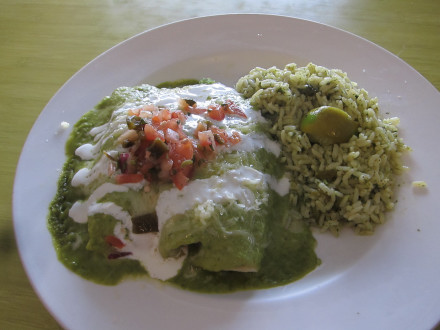 Seafood enchiladas are like alta cocina Mexican food